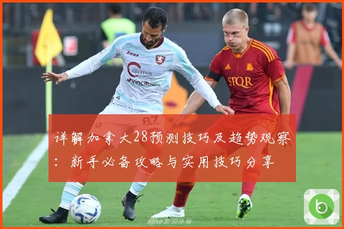 详解加拿大28预测技巧及趋势观察：新手必备攻略与实用技巧分享