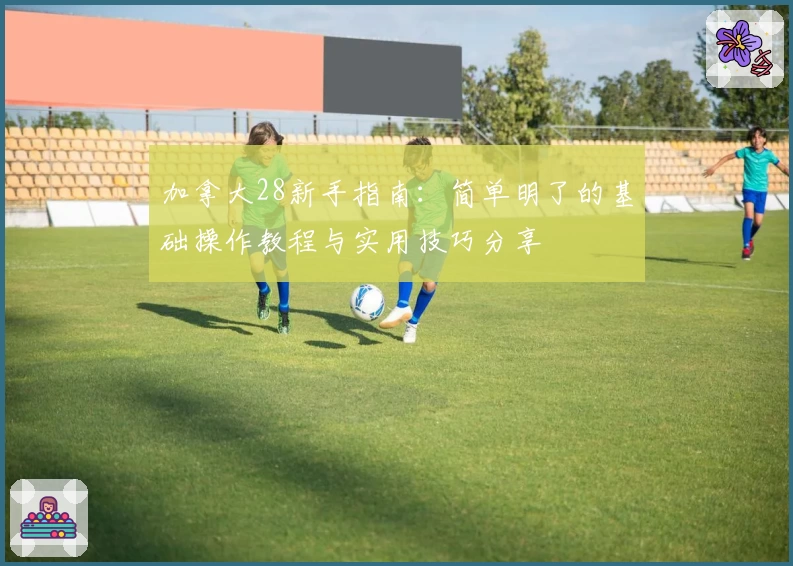 加拿大28新手指南：简单明了的基础操作教程与实用技巧分享