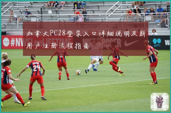 加拿大PC28登录入口详细说明及新用户注册流程指南