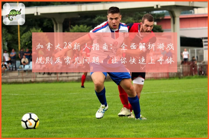 加拿大28新人指南：全面解析游戏规则及常见问题，让你快速上手体验