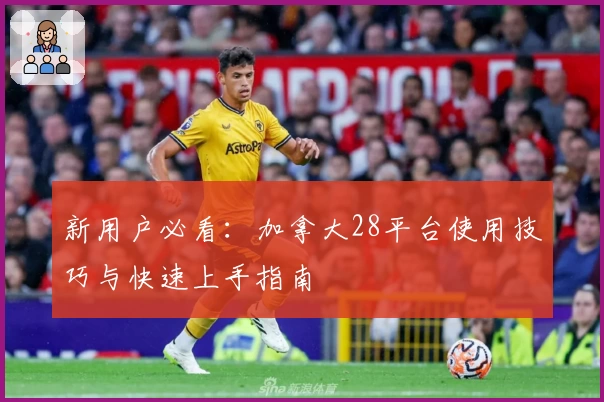 新用户必看：加拿大28平台使用技巧与快速上手指南