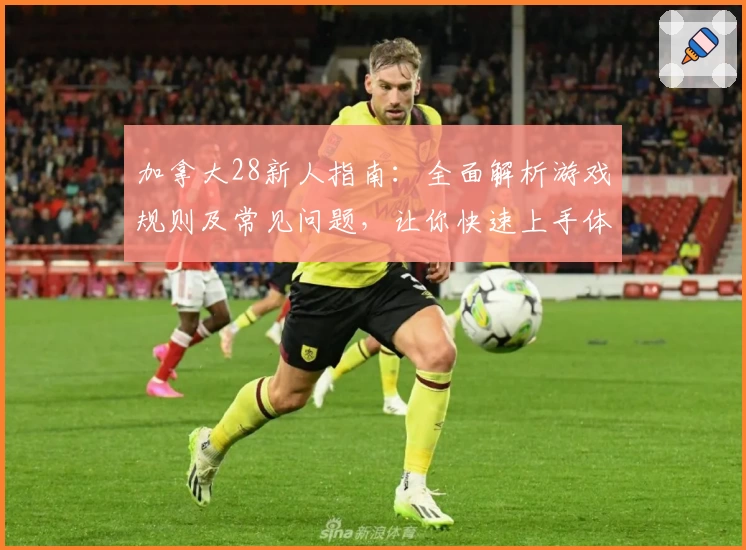 加拿大28新人指南：全面解析游戏规则及常见问题，让你快速上手体验