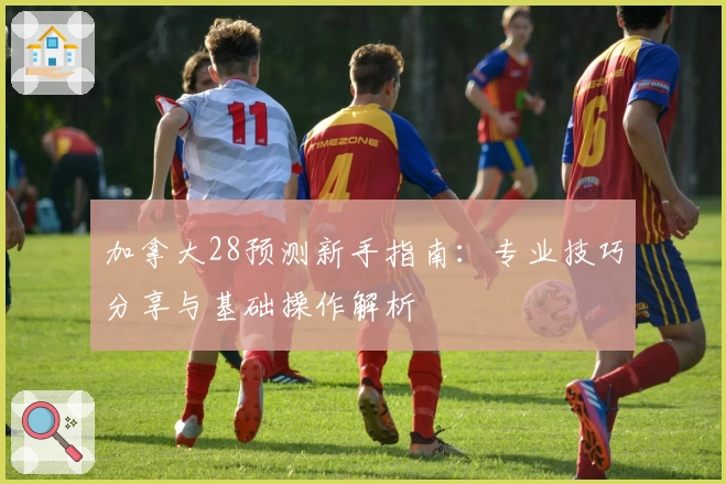 加拿大28预测新手指南：专业技巧分享与基础操作解析