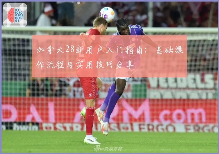 加拿大28新用户入门指南：基础操作流程与实用技巧分享