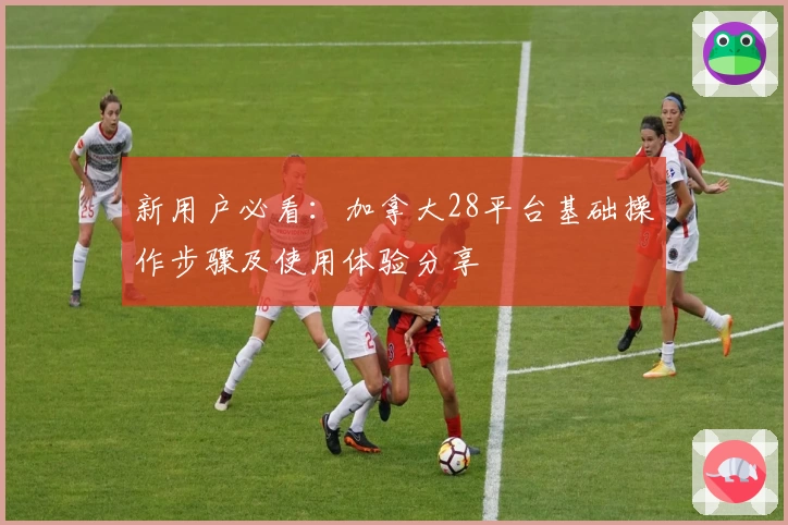 新用户必看：加拿大28平台基础操作步骤及使用体验分享