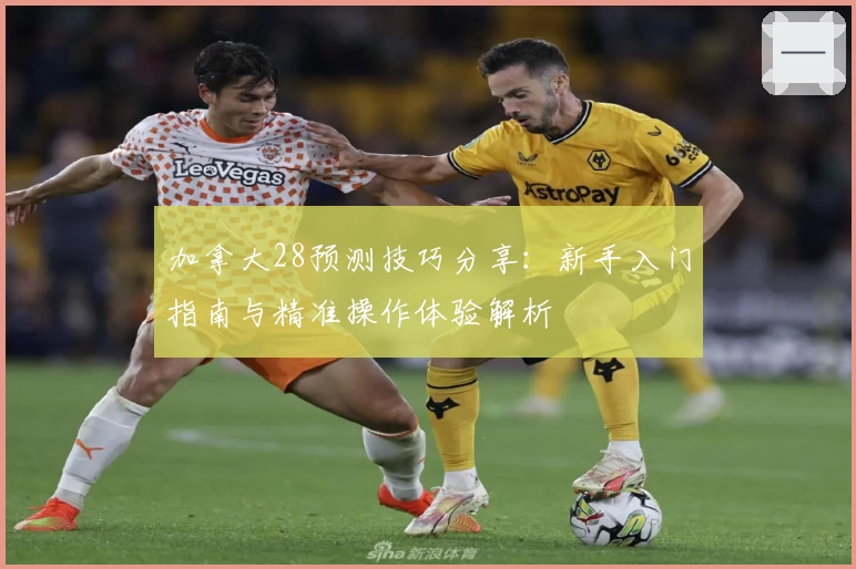 加拿大28预测技巧分享：新手入门指南与精准操作体验解析