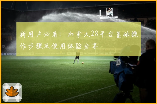 新用户必看：加拿大28平台基础操作步骤及使用体验分享