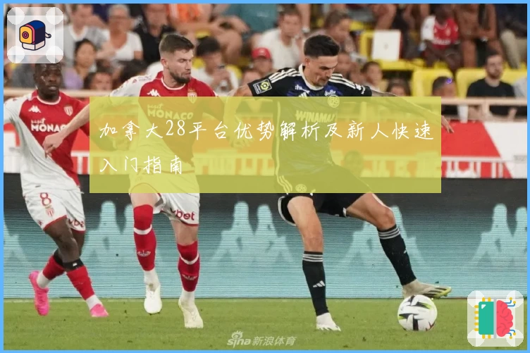 加拿大28平台优势解析及新人快速入门指南