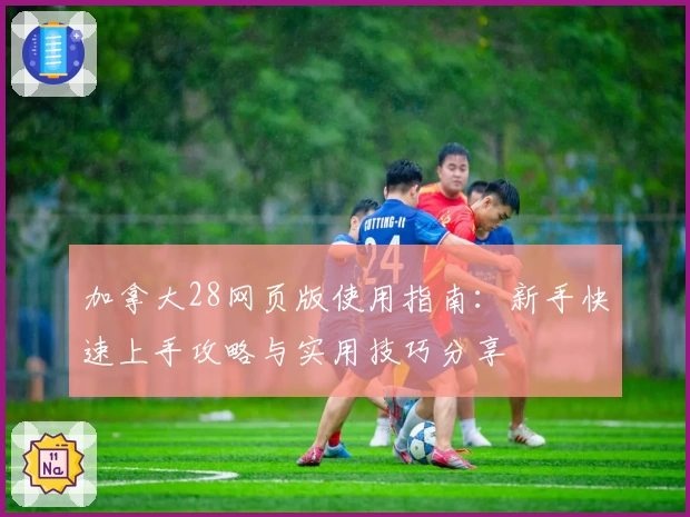 加拿大28网页版使用指南：新手快速上手攻略与实用技巧分享