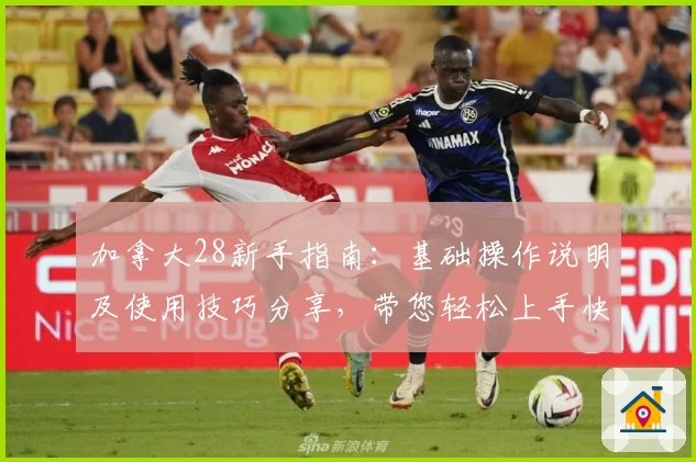 加拿大28新手指南：基础操作说明及使用技巧分享，带您轻松上手快速体验
