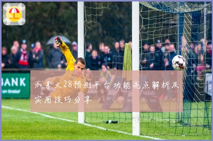 加拿大28预测平台功能亮点解析及实用技巧分享