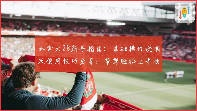 加拿大28新手指南：基础操作说明及使用技巧分享，带您轻松上手快速体验