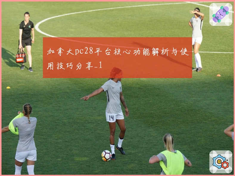 加拿大pc28平台核心功能解析与使用技巧分享_1