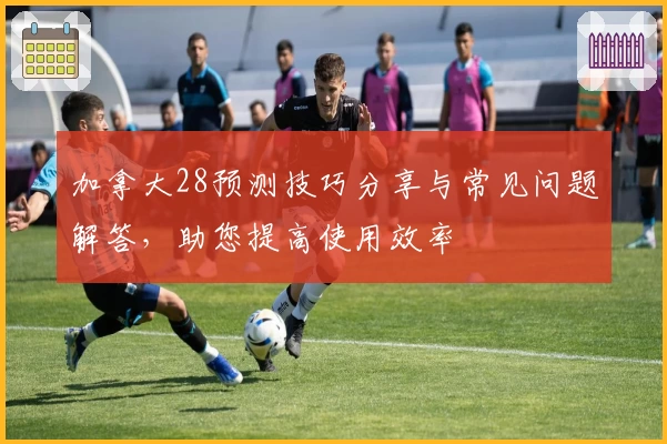 加拿大28预测技巧分享与常见问题解答，助您提高使用效率
